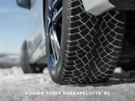 NT DEALER Some images 1080x1080 W2025 FI6