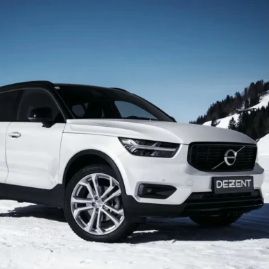 Katumaasturinvanne Dezent TA Silver 7 image