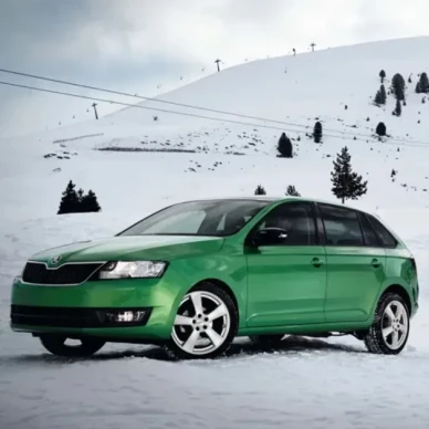 5 puolavanne Dezent TX 4 image