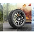 Michelin CrossClimate+ 3PMSF rengas 2
