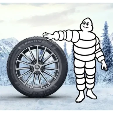 Michelin Alpin 6 Talvirengas 2 kuva