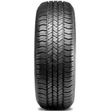 Pickup Kesarenkaat Bridgestone Dueler 2 kuva