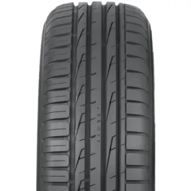 Kesarengas Nordman North South 2 kuva