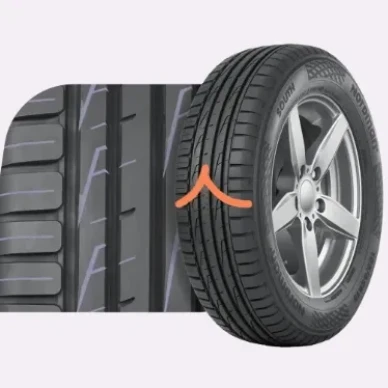 Kesarengas Nordman North South 4 kuva