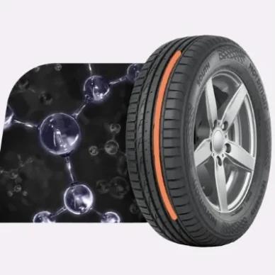 Kesarengas Nordman North South 5 kuva