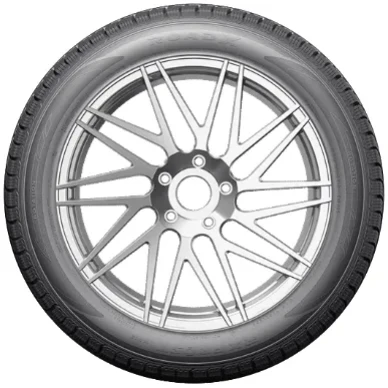 Kitkarengas RoadX WH12 Teras Rengas FI 3 kuva