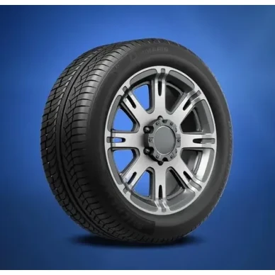 Michelin 4x4 Diamaris Kitkarenkaat 5 image