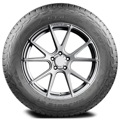 Antares Majoris R1 Kesarenkaat 3 image