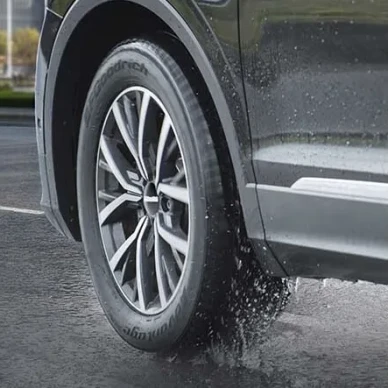 Goodrich ADVANTAGE SUV 4 image