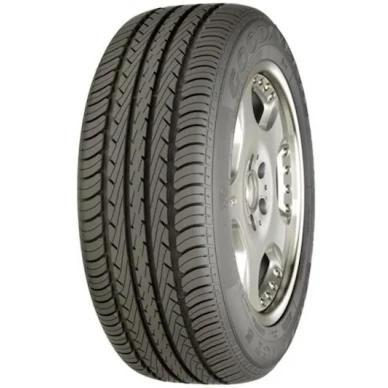 Goodyear Eagle NTCS5 Kesarengas 1 image