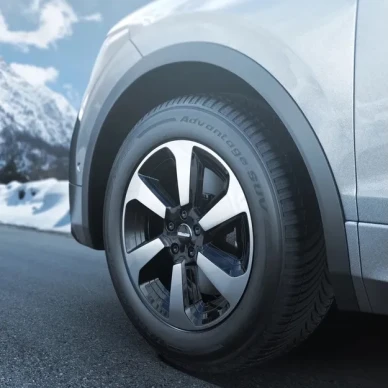 ALL Seasonrengas Advantage SUV 11 kuva