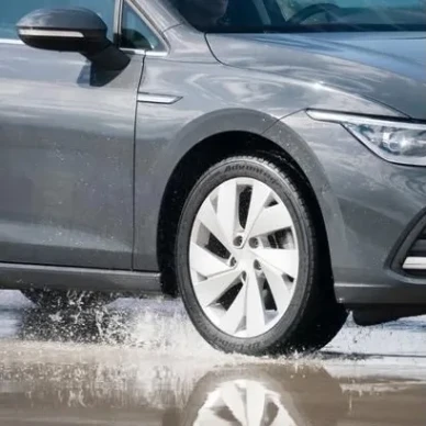 BFGoodrich Kesarengas Advantage 2 5 image