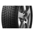thumbs Snowlink PL01 30 jpg